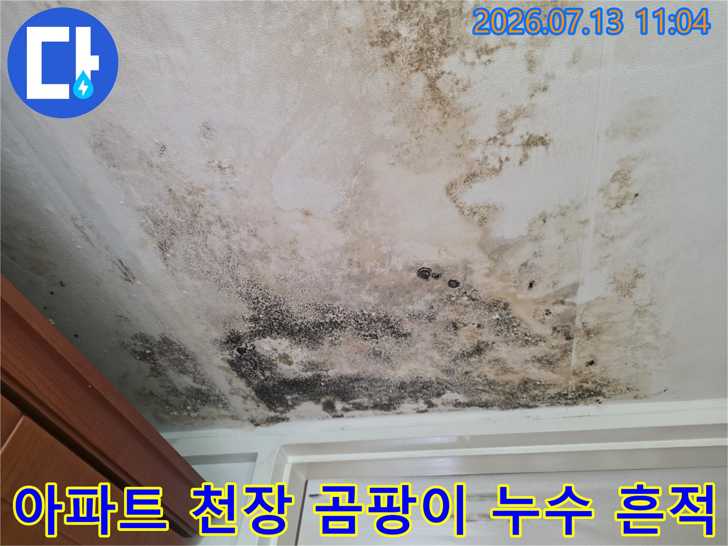 아파트 현관 입구 천장에 발생한 광범위한 곰팡이와 물때 얼룩