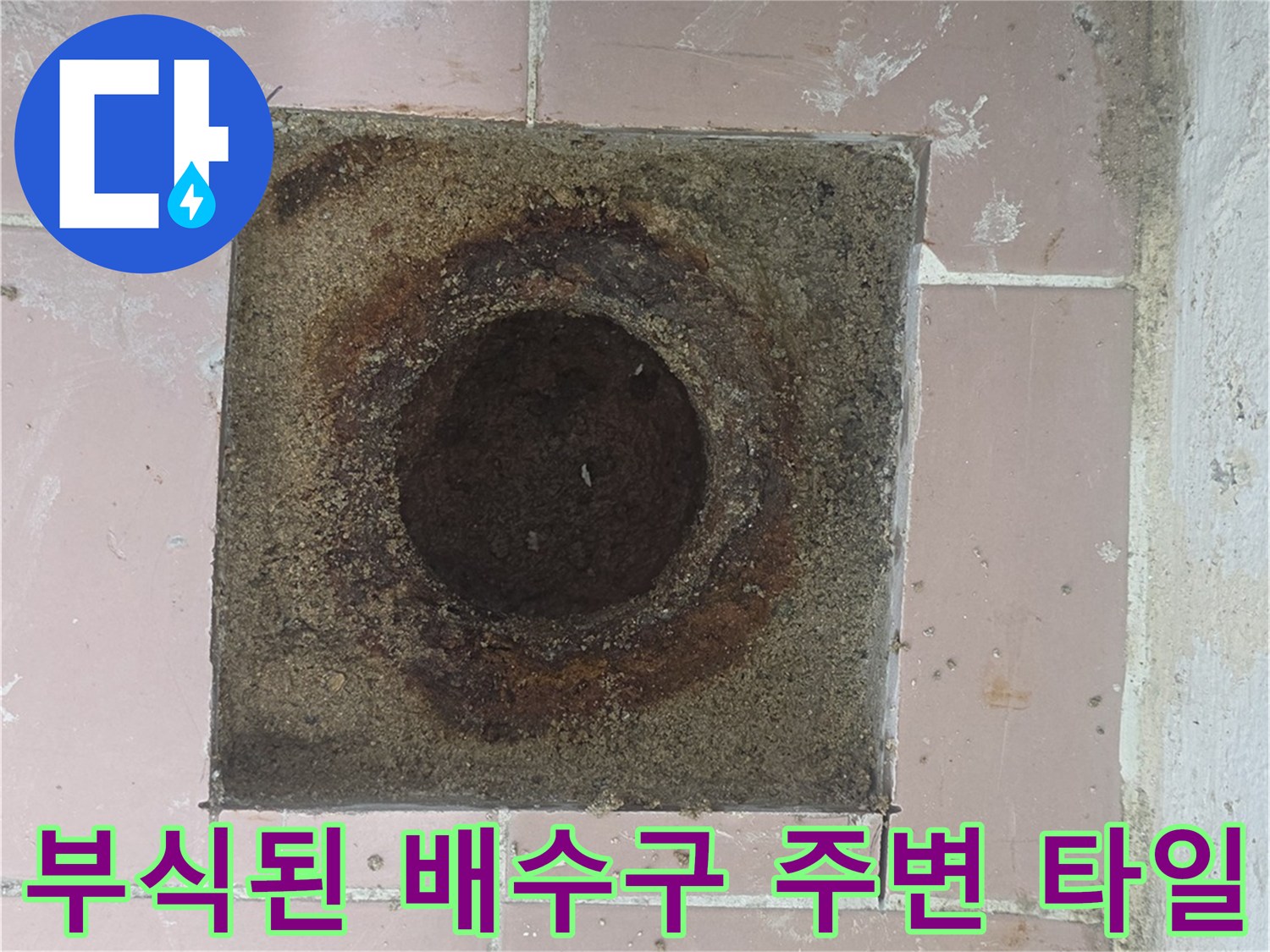 세탁실 하수구-배수 트랩 주변의 부식된 시멘트와 오염물질