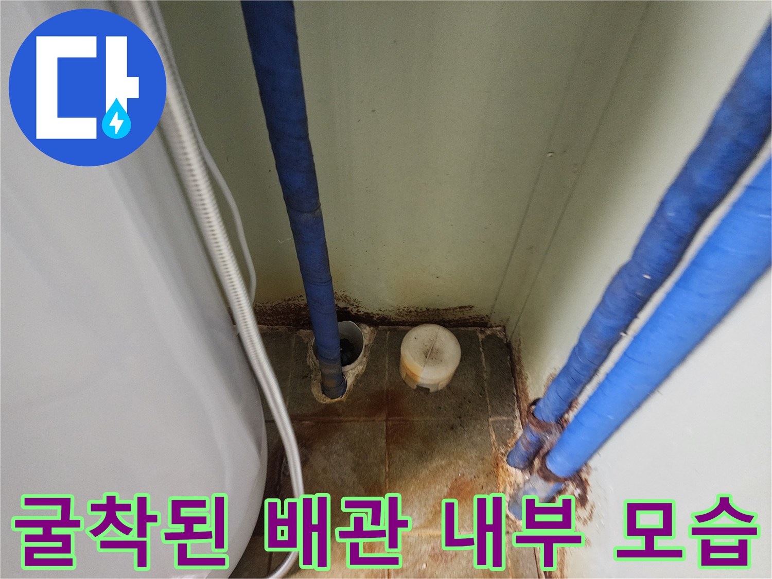 창수면 현장에서-확인한 노출된 파란색 급수 배관