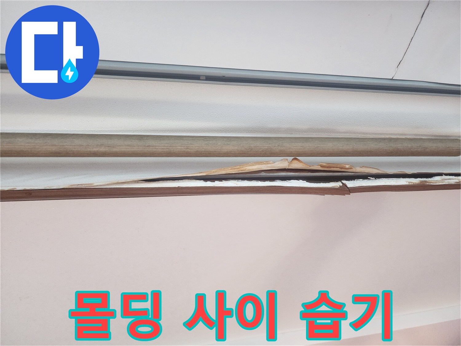 천장-마감재-틈새의-습윤한-상태