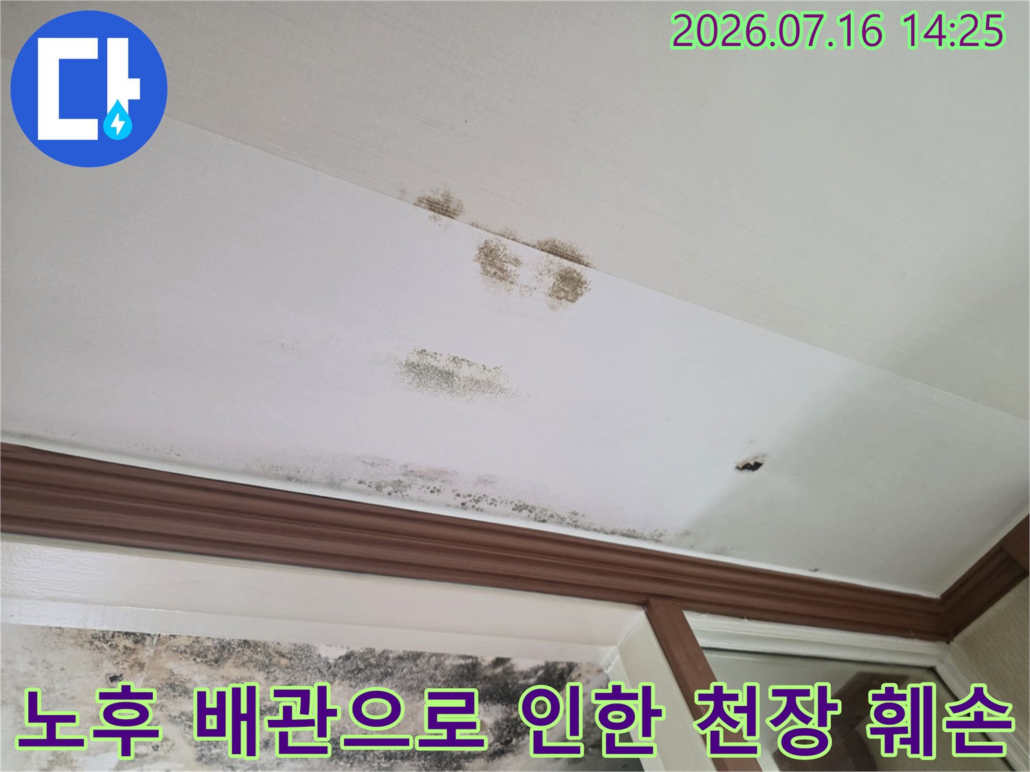 거실 천장에 발생한 대형 누수 얼룩과 곰팡이 오염 범위