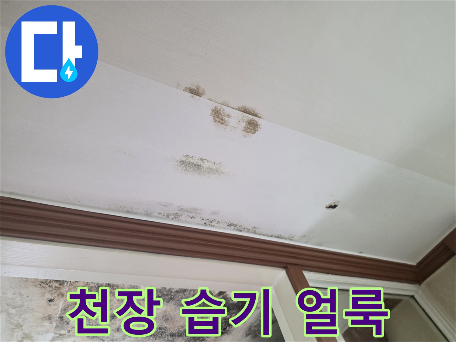 천장 벽지에 번진 듯한 수분 침투 흔적과 곰팡이