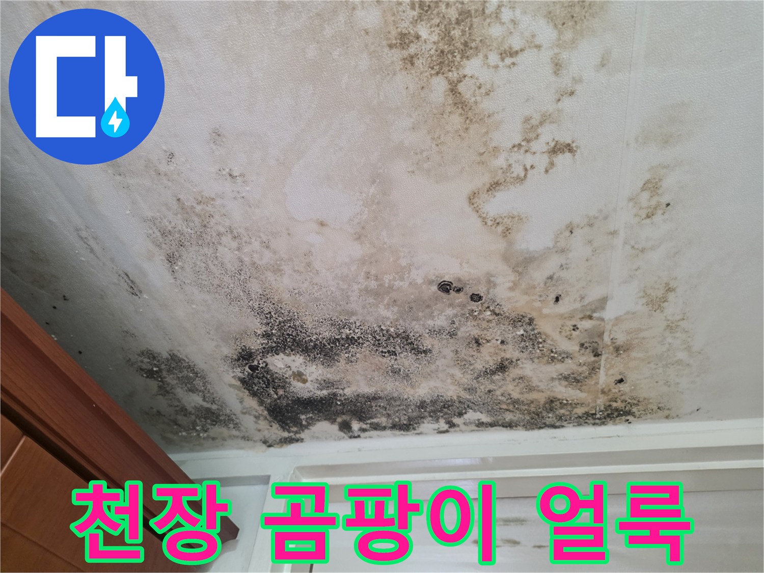 천장-벽지에-퍼진-검은색-곰팡이와-습기-흔적