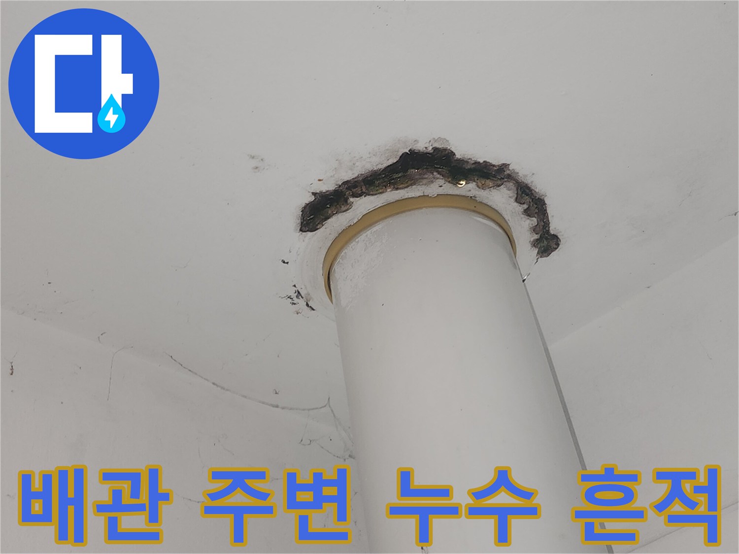 수직 배관과 연결된 천장 부위의 검은색 오염 및 습기 흔적