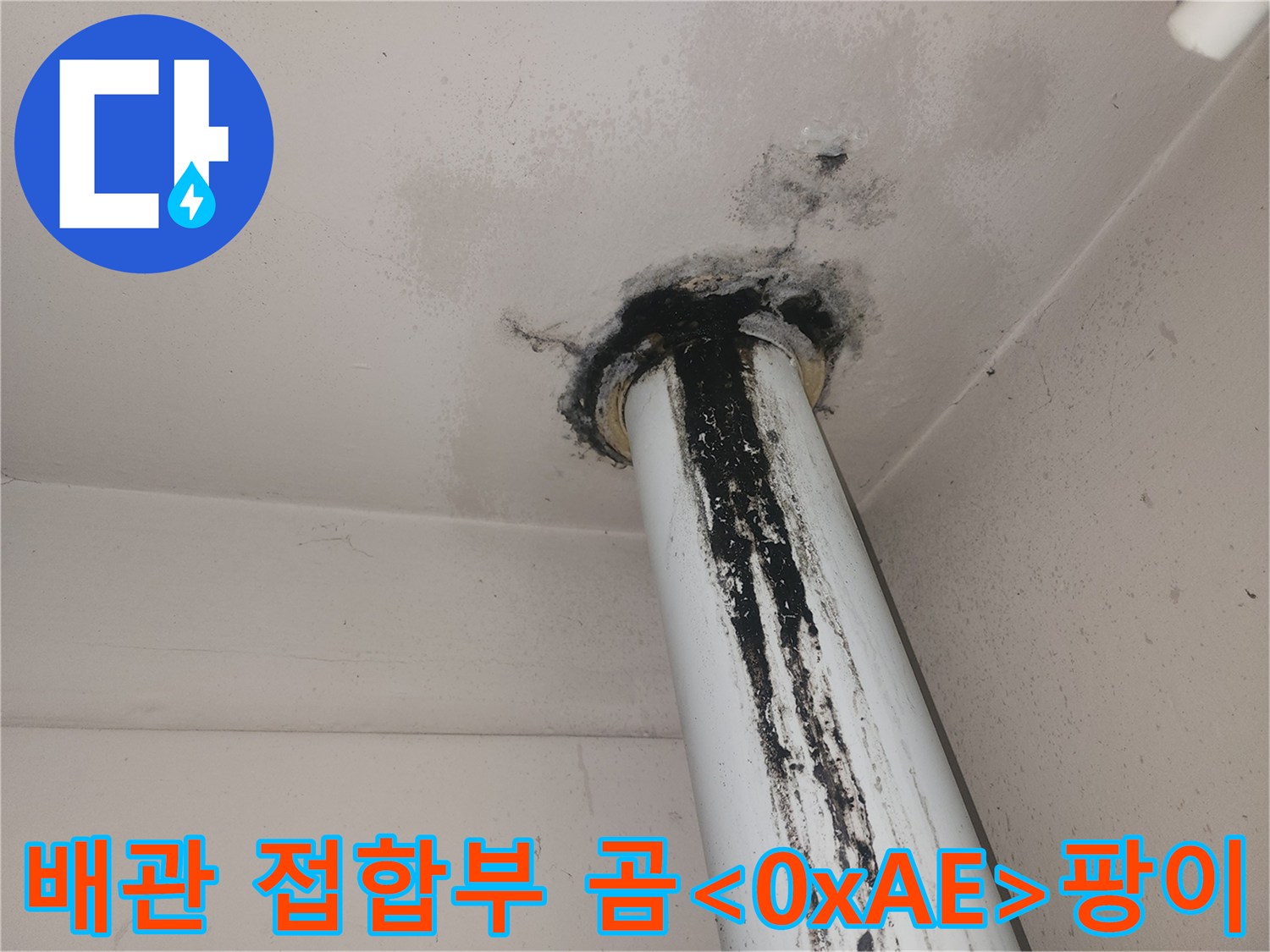 천장 수직 배관-접합 부위의 심한 오염과 곰팡이