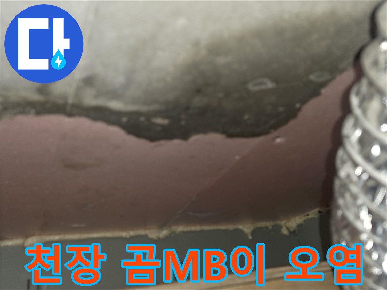 아파트-천장-내부-습기-및-곰팡이-발생-상태