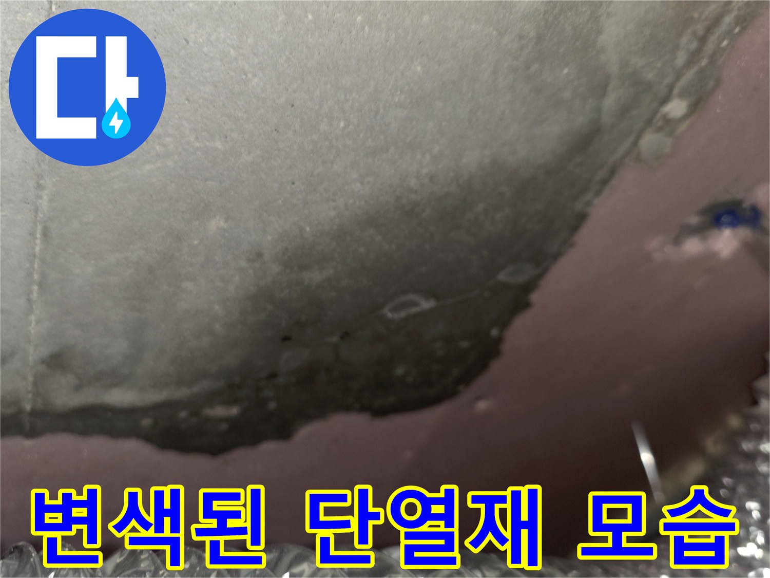 천장 내부 슬라브-물기에 젖어 변색된 단열재와 곰팡이