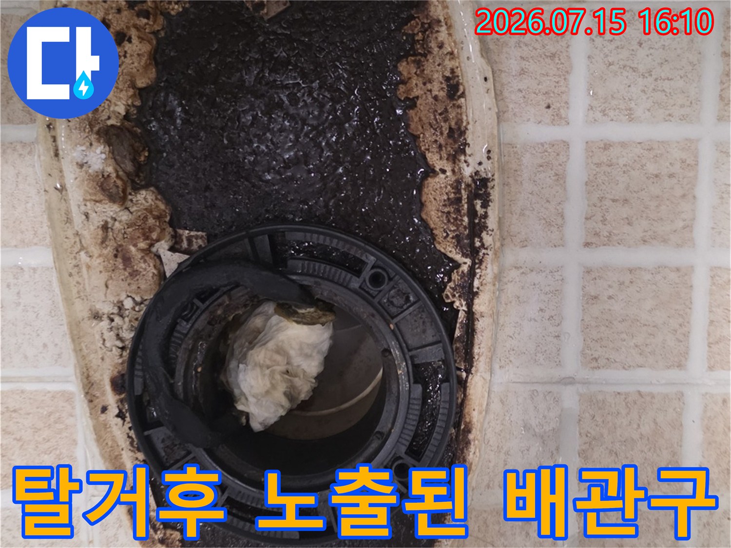 변기 탈거 후 발견된 오염된 정심과 하부 오수관의 모습