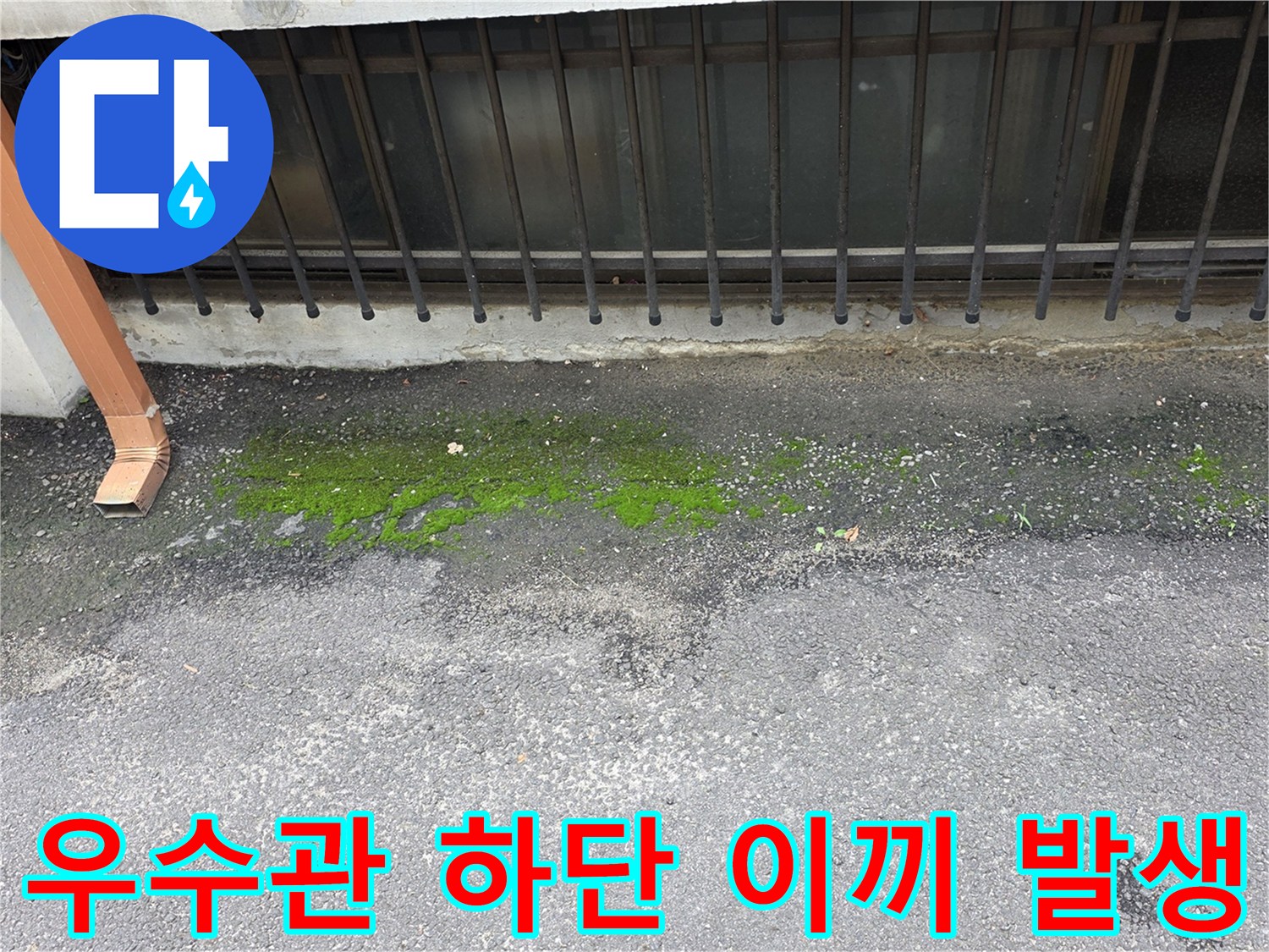 배관 아래-물 고임으로 인한 지면 상태