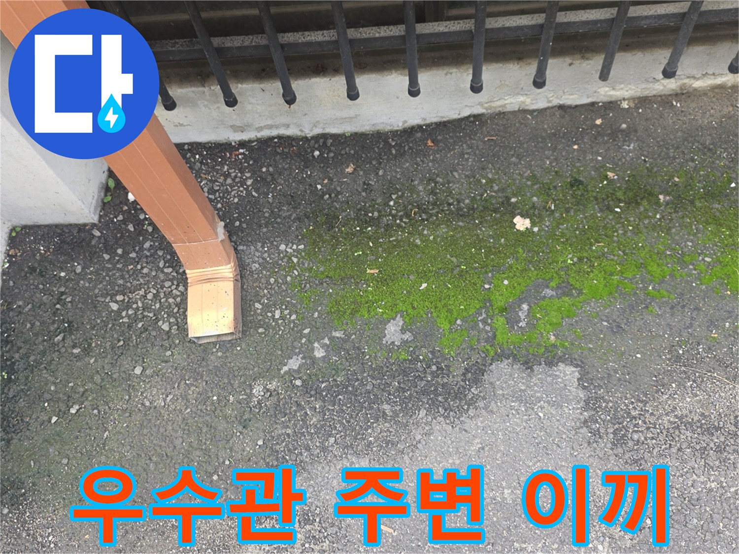 우수관-배수구-주변-이끼가-낀-지면-상태