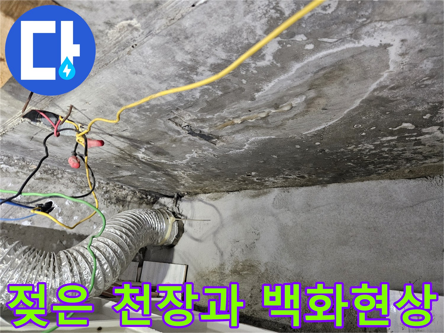 아랫집-천장-콘크리트-부위의-백화현상과-습기-상태