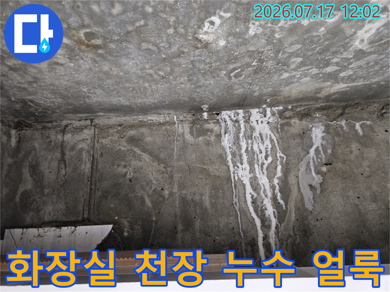 화장실 천장에 길게 늘어진 흰색 석회성분과 물자국이 고여있는 모습
