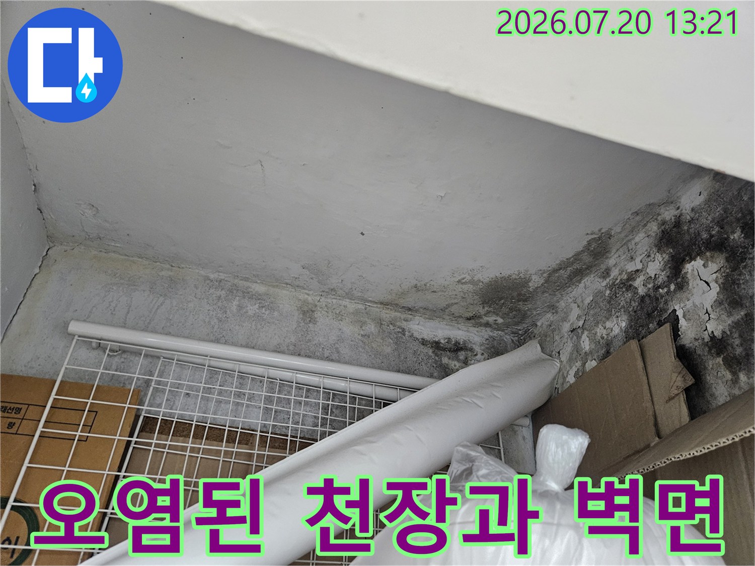 곰팡이와 습기로 인한 변색이 뚜렷한 아파트 내부 공간의 천장부