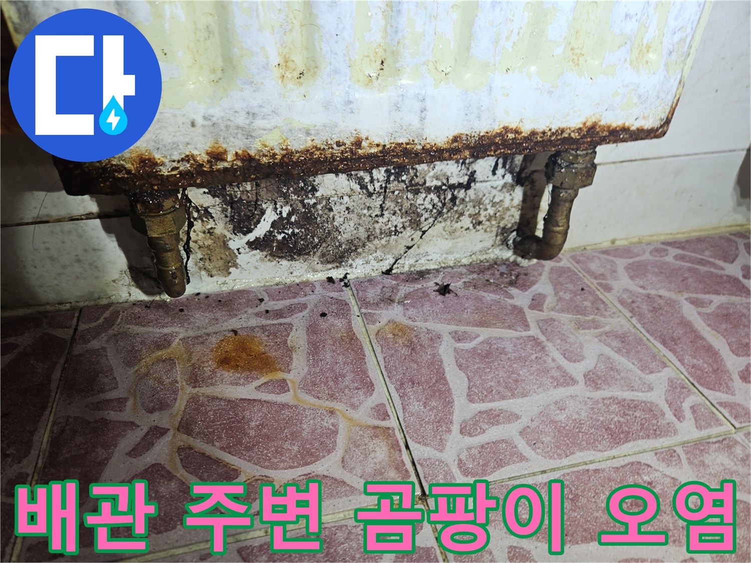 다용도실 벽면-세탁기 배관 하단 부식과 곰팡이 발생