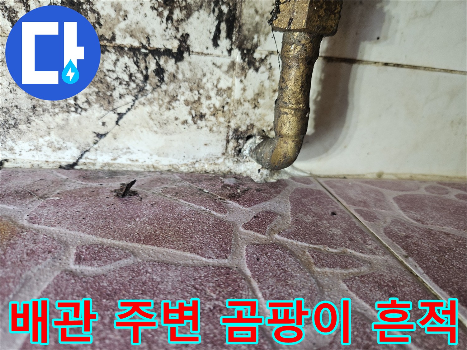 도봉구 현장 - 다용도실 배관 주위로 검게 발생한 곰팡이와 습기 상태