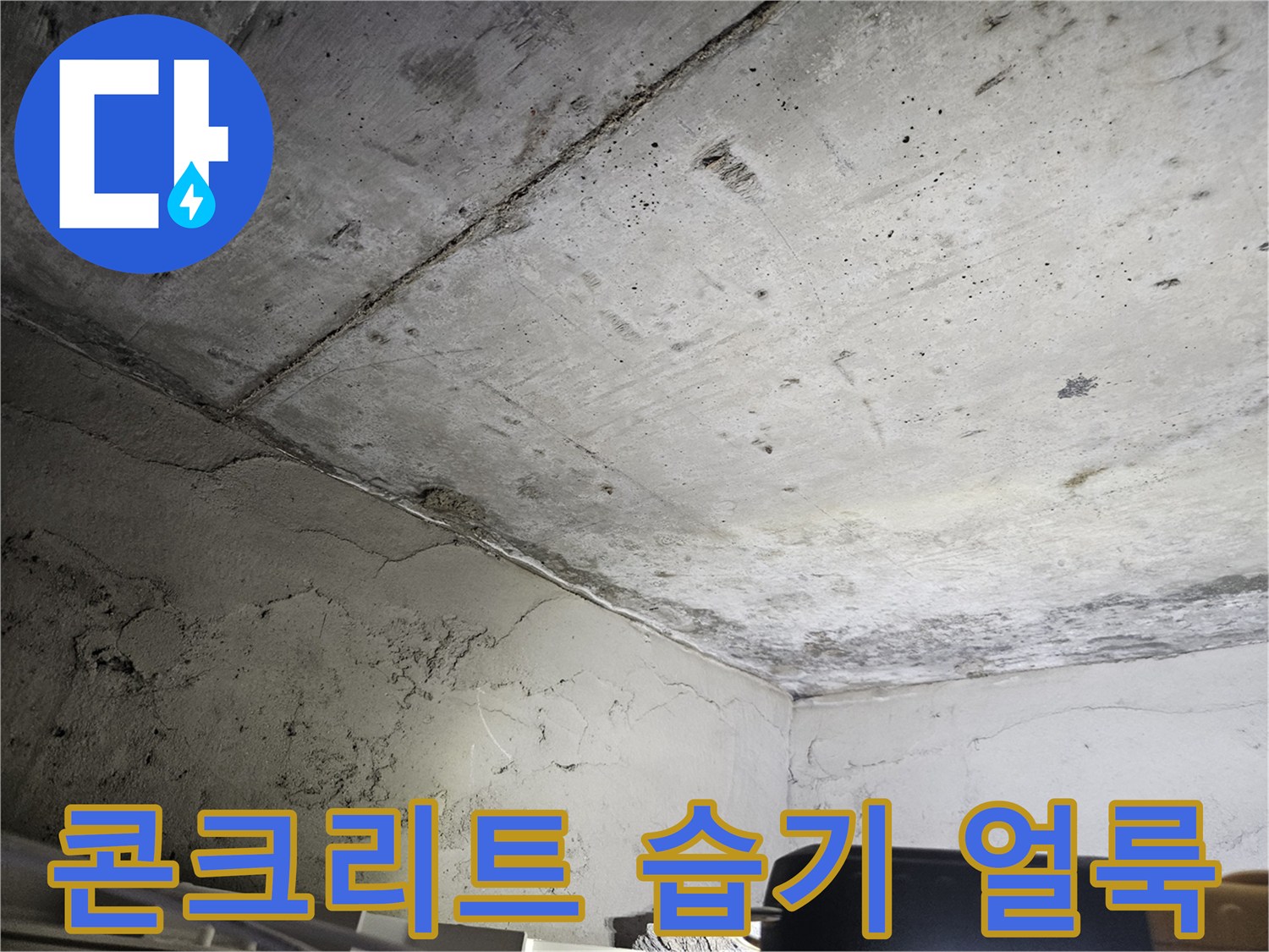 물기에-젖어-짙게-변한-천장-콘크리트-면