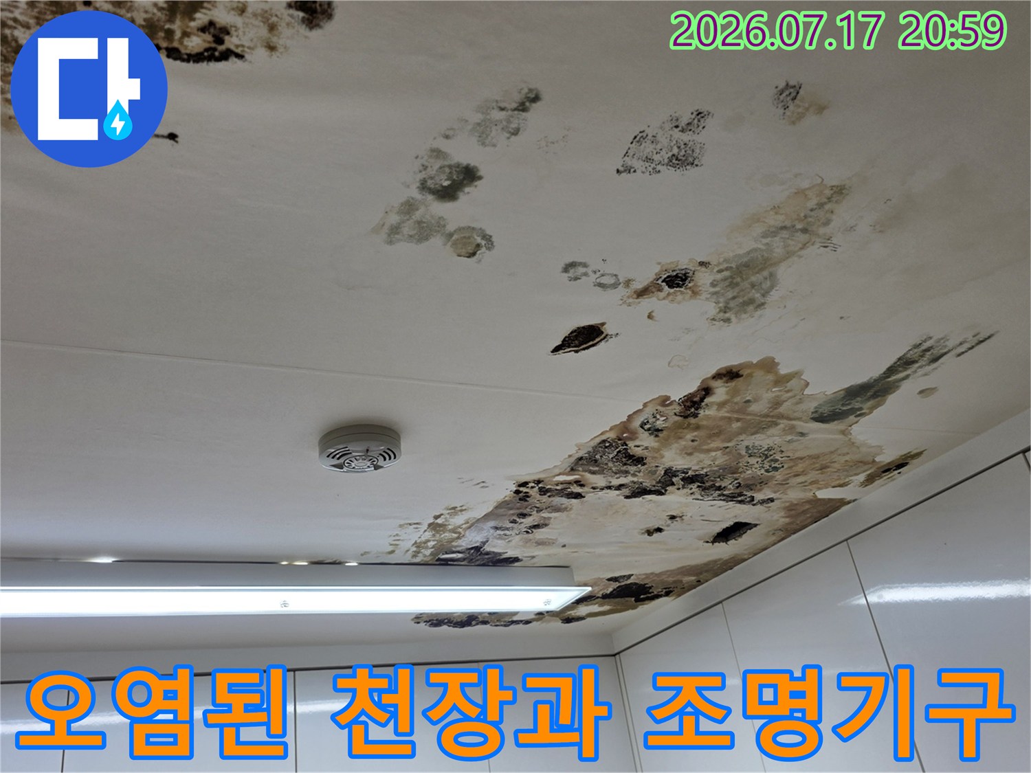 누수로 인한 곰팡이 및 얼룩으로 오염된 천장면