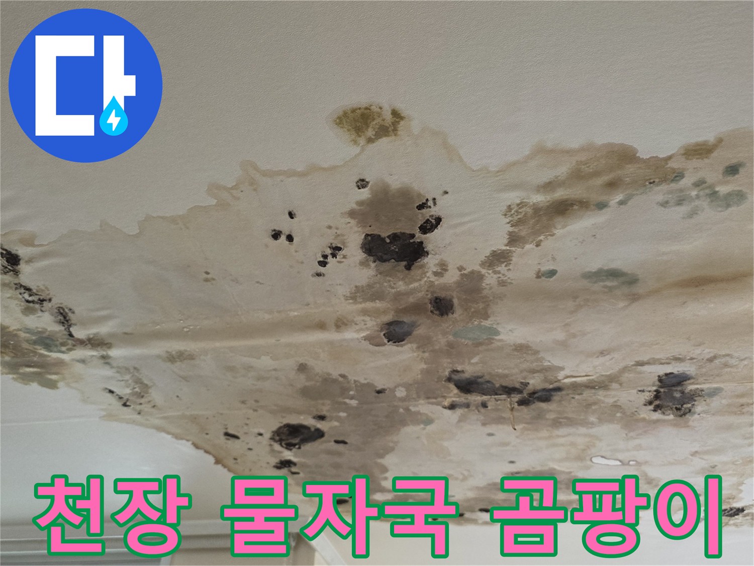 아파트-천장-부분적인-물자국과-검은-곰팡이-발생