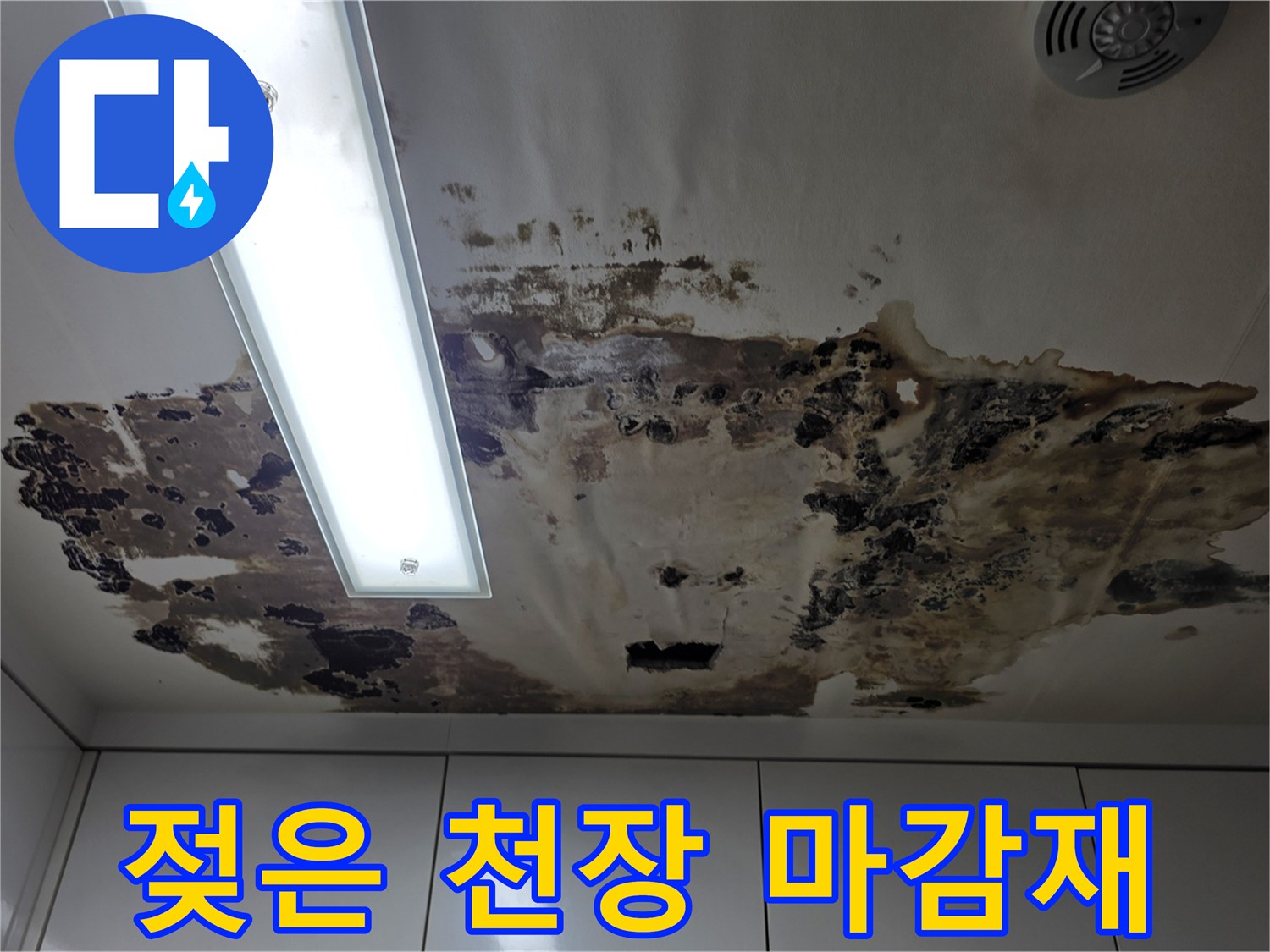 천장 내부로 스며든 물기로 인한 젖은 얼기 및 변색 부위