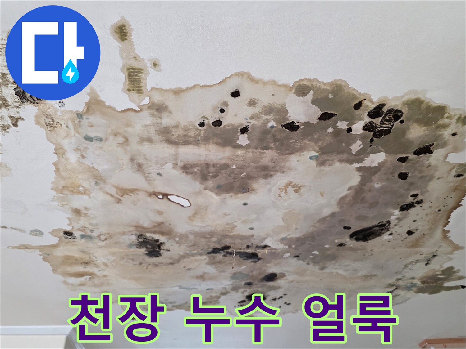 천장-벽지에-번진-심각한-누수-흔적
