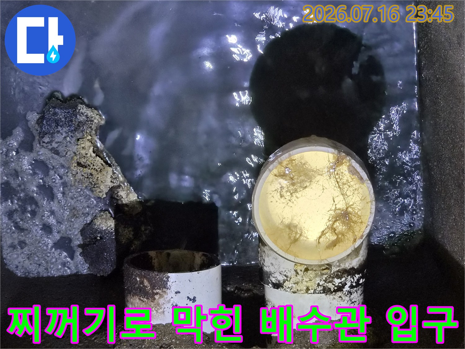 노란색 슬러지가 가득 찬 배수구 및 관로 점검 모습