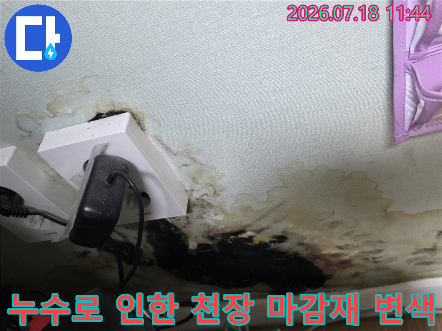 벽면 콘센트 주변으로 번져나간 누수 흔적과 곰팡이 오염