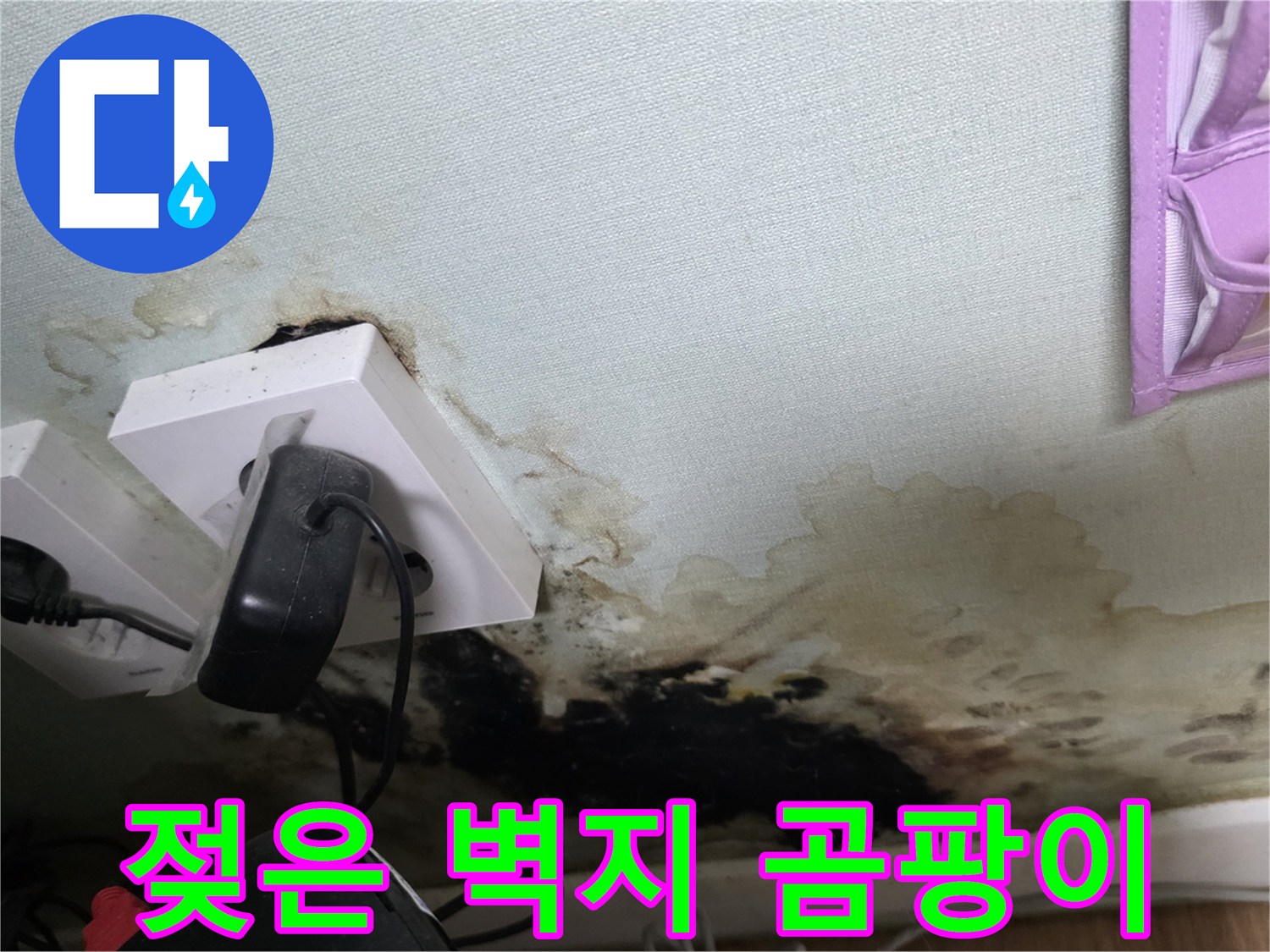 콘센트 근처-심하게 오염된-벽지 곰팡이 상태