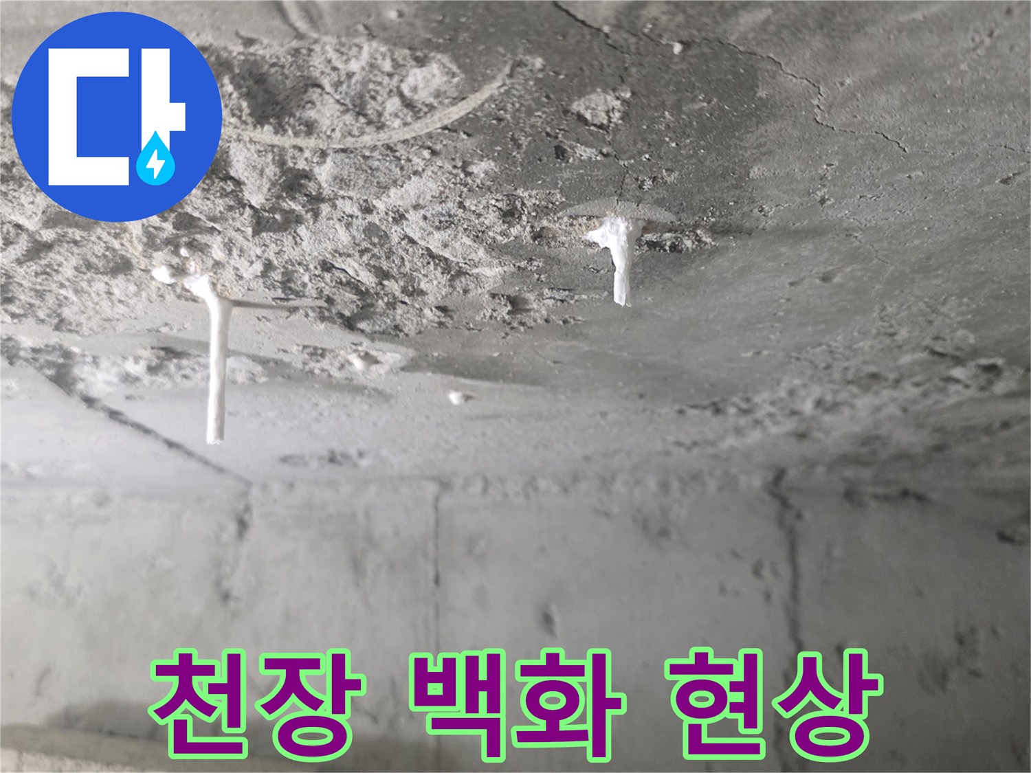 콘크리트 슬라브-백화현상-발생-부위