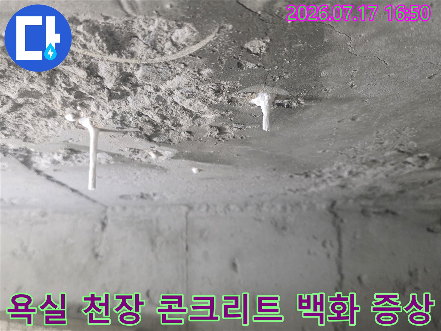 콘크리트-표면에-하얀색-석회질-결정체가-맺혀있는-천장-사진