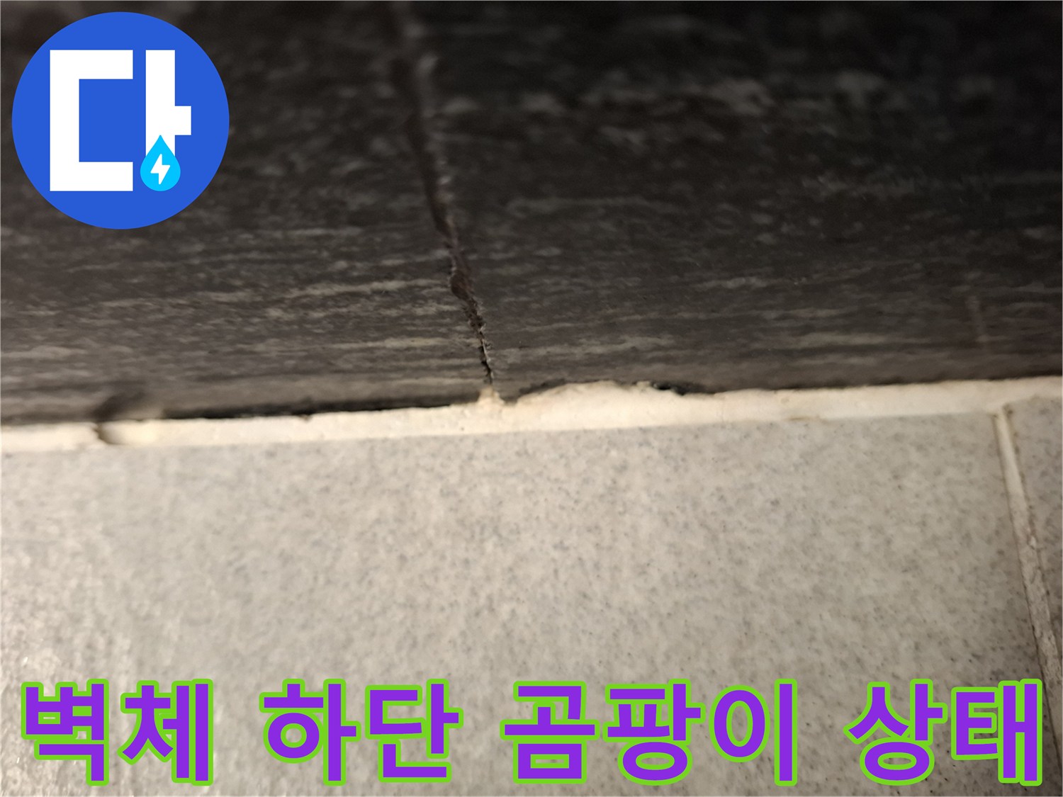 걸레받이 밑부분에 발생한 곰팡이와 습기 침투 부위