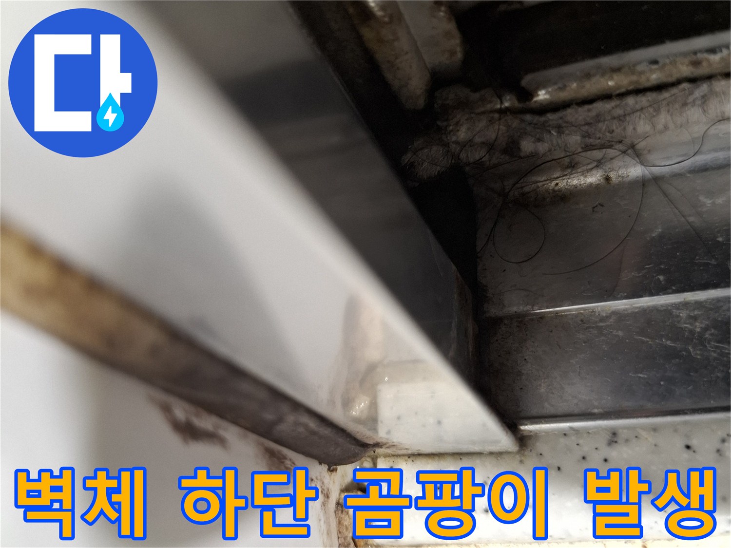 벽면-하부-마감재-틈새의-습기-및-곰팡이
