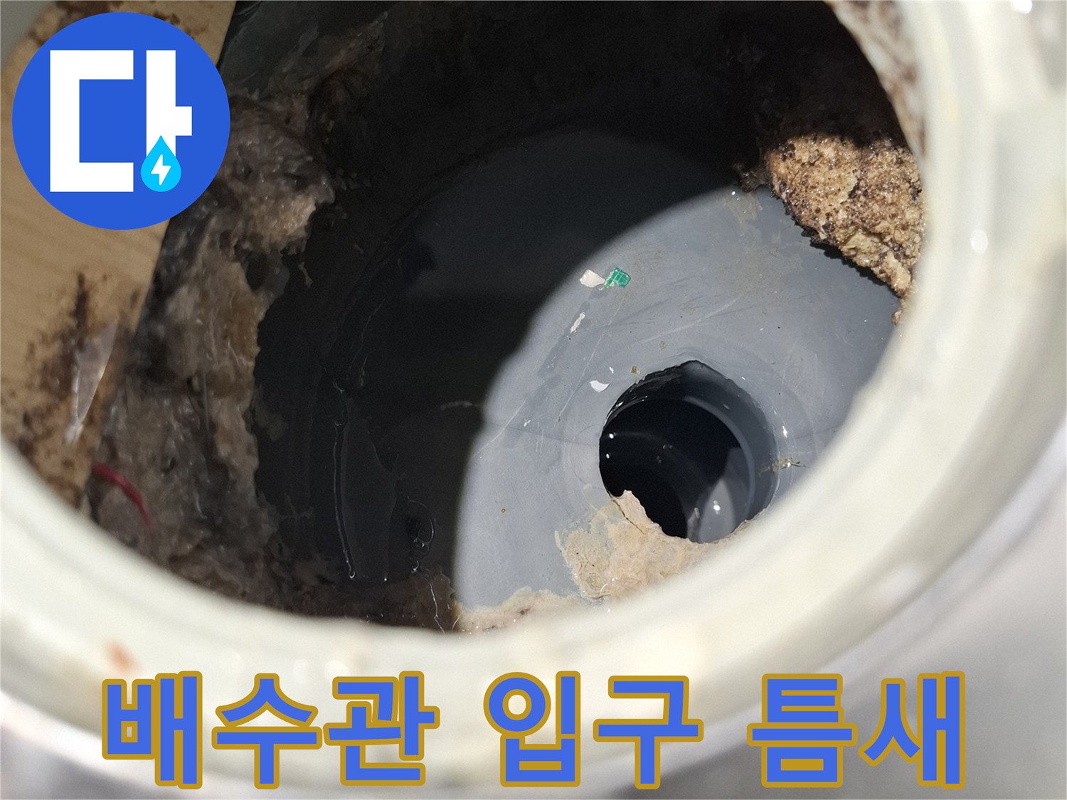 욕실-배수구-입구-주변의-젖은-이물질-상태