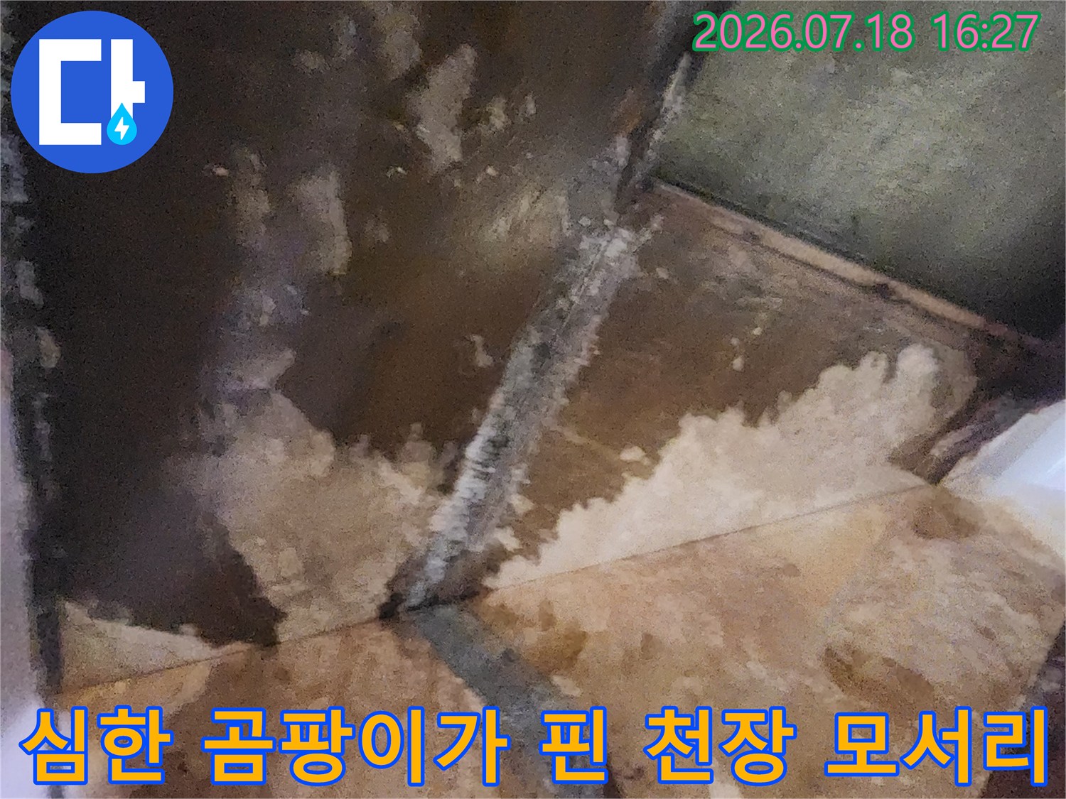 누수로 인해 습기가 가득하고 곰팡이가 번진 실내 천장 모습
