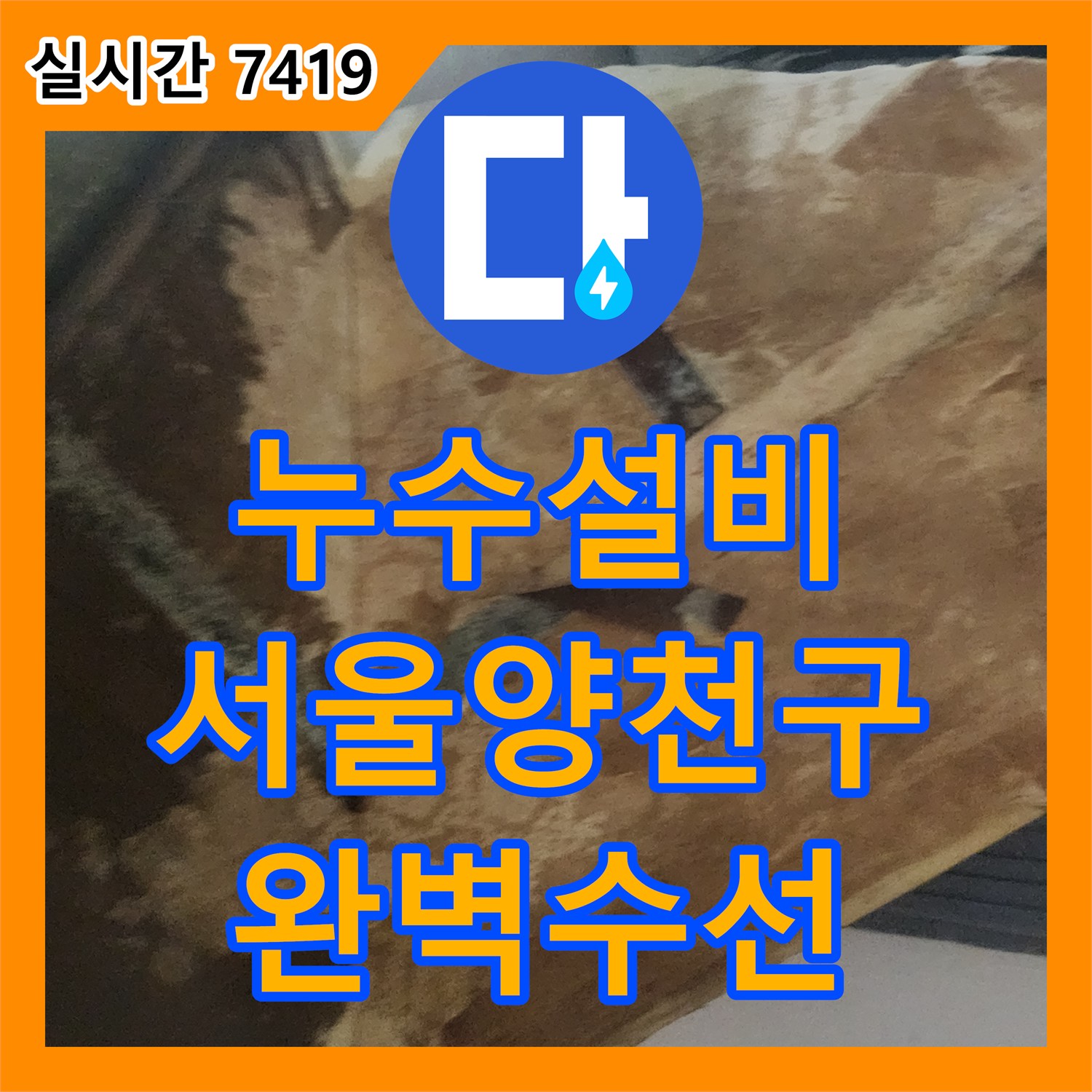 누수설비 아랫집 주방과 작은방 천장 누수를 정밀 탐지로 잡아내어 배관을 교체한 사례 서울특별시 양천구