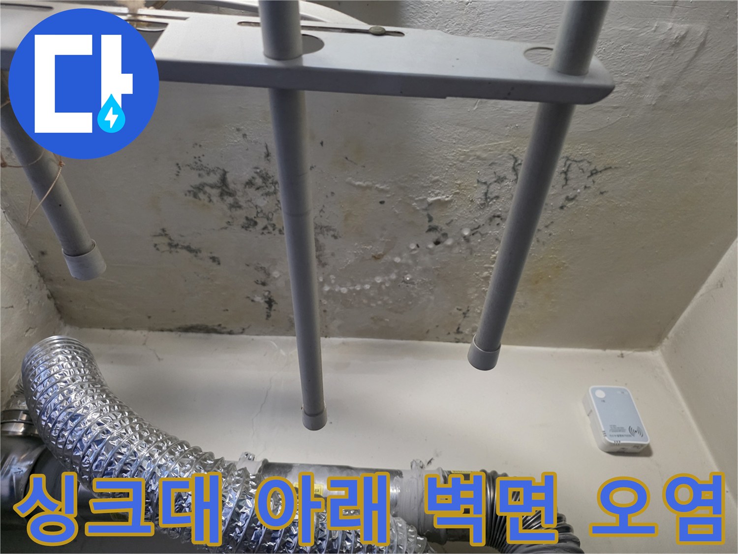 싱크대 배관 근처 벽면에 발생한 습기와 곰팡이 얼룩