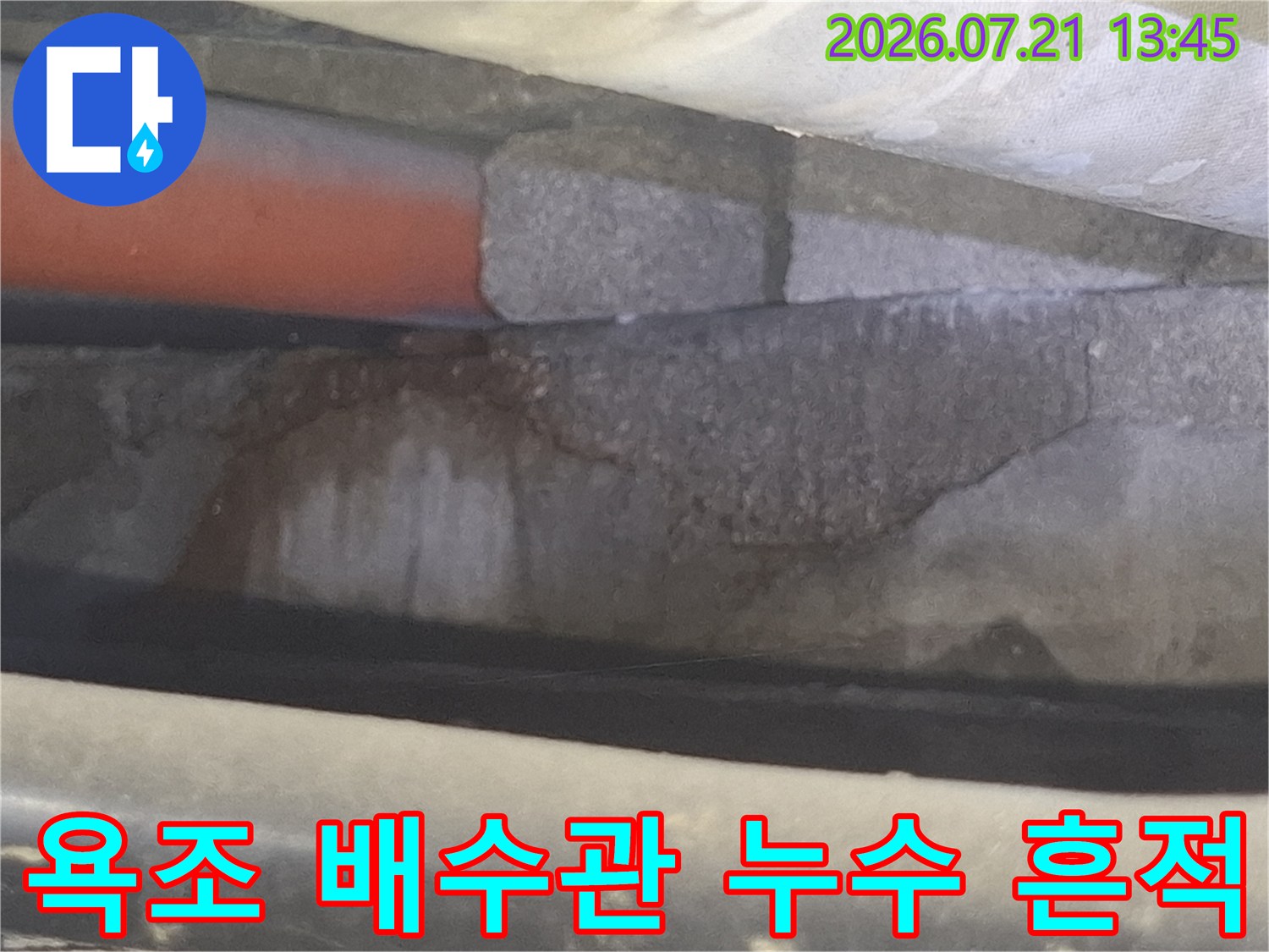 욕조 하부 배수구 주변의 물고임과 콘크리트 변색 구간 확인
