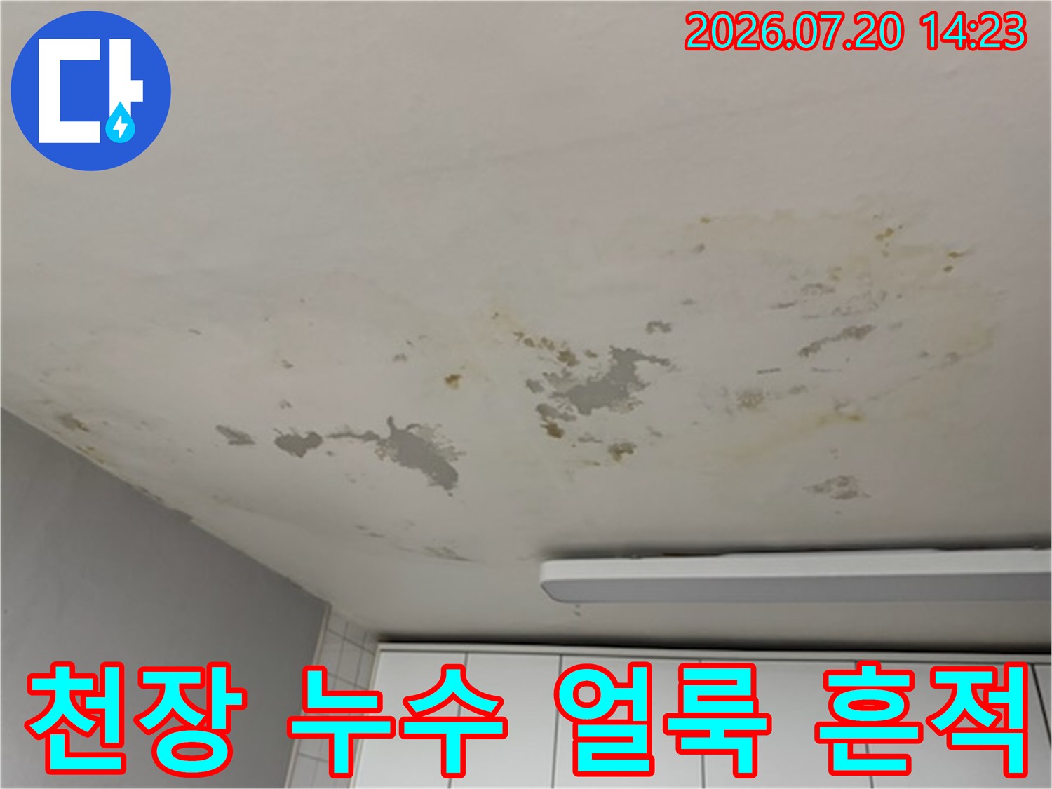 거실 천장 마감재에 발생한 누수로 인한 얼룩과 도배지 박리 현상
