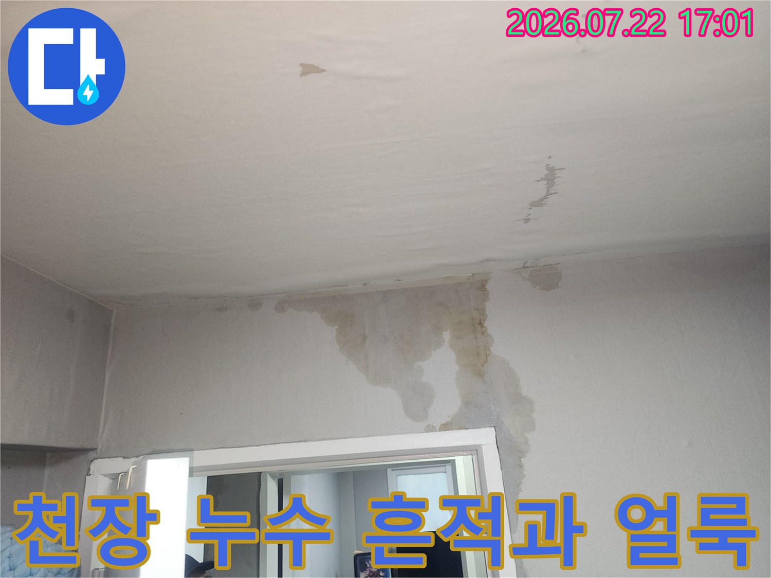 거실 천장에 발생한 광범위한 누수 얼룩과 석고보드 변색