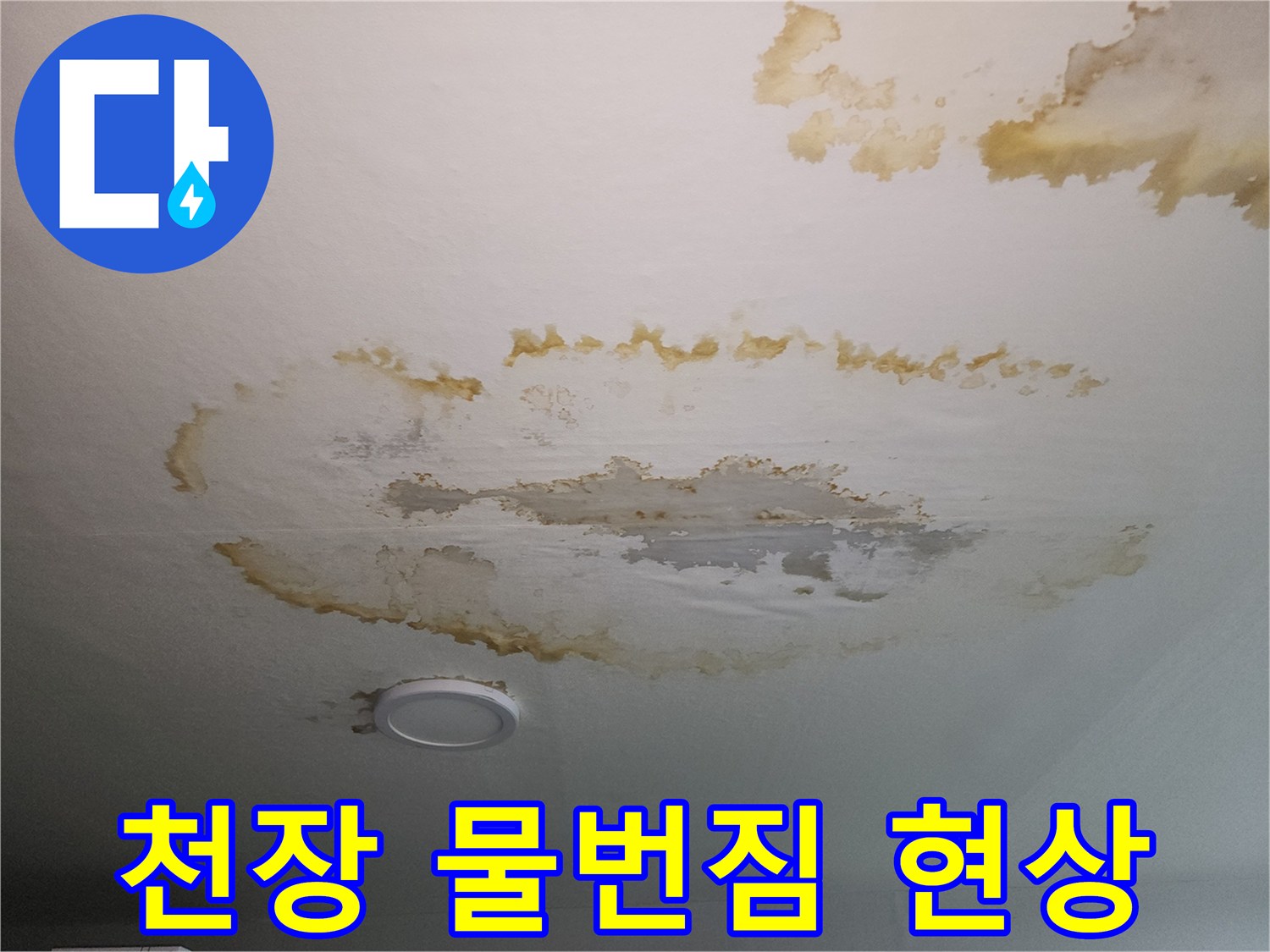 천장 도배지에 넓게 퍼진 누수 침투 흔적