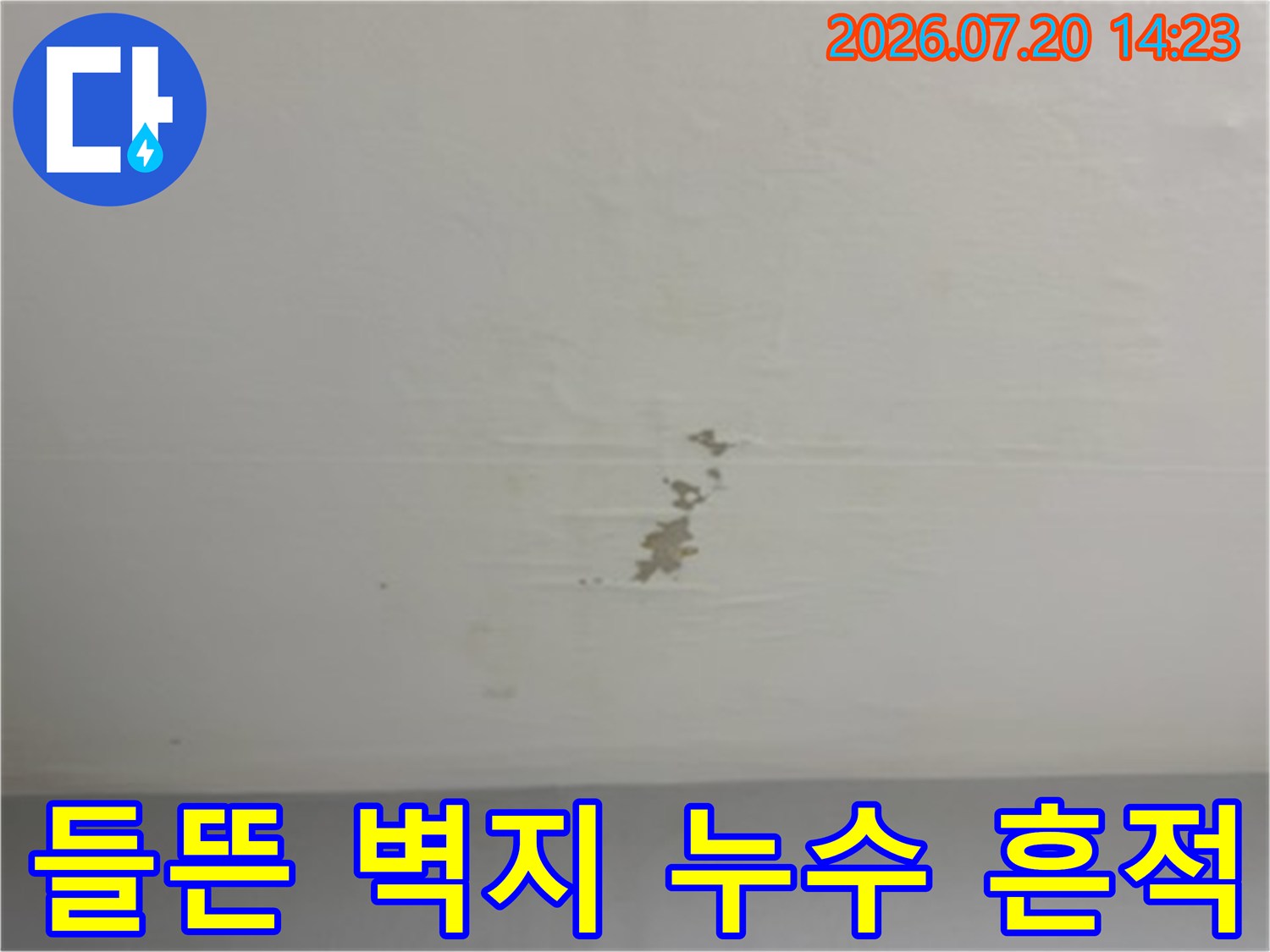 천장 마감재 표면에 나타난 고질적 누수 증상