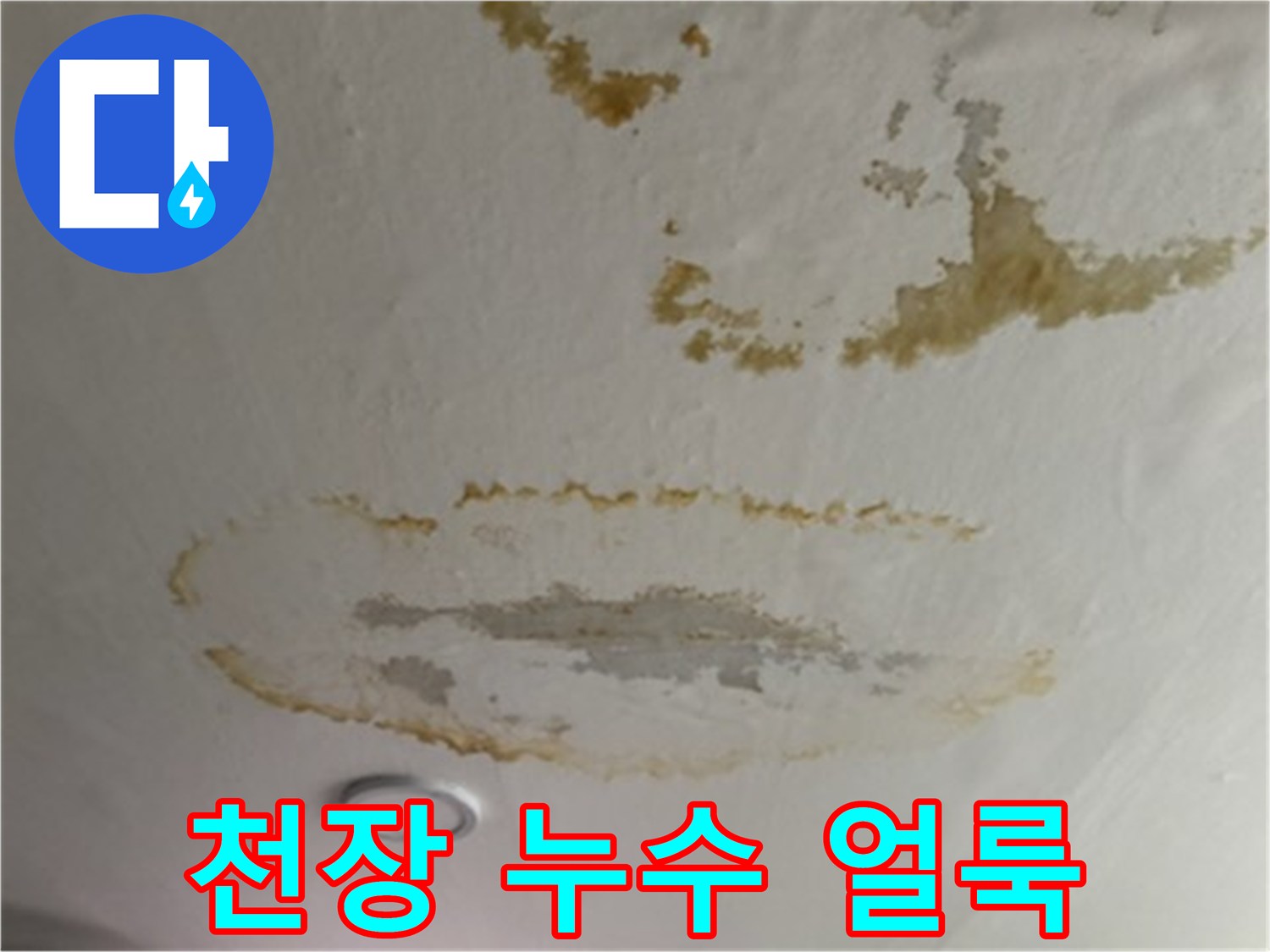 천장-마감재에-발생한-광범위한-누수-얼룩-사진