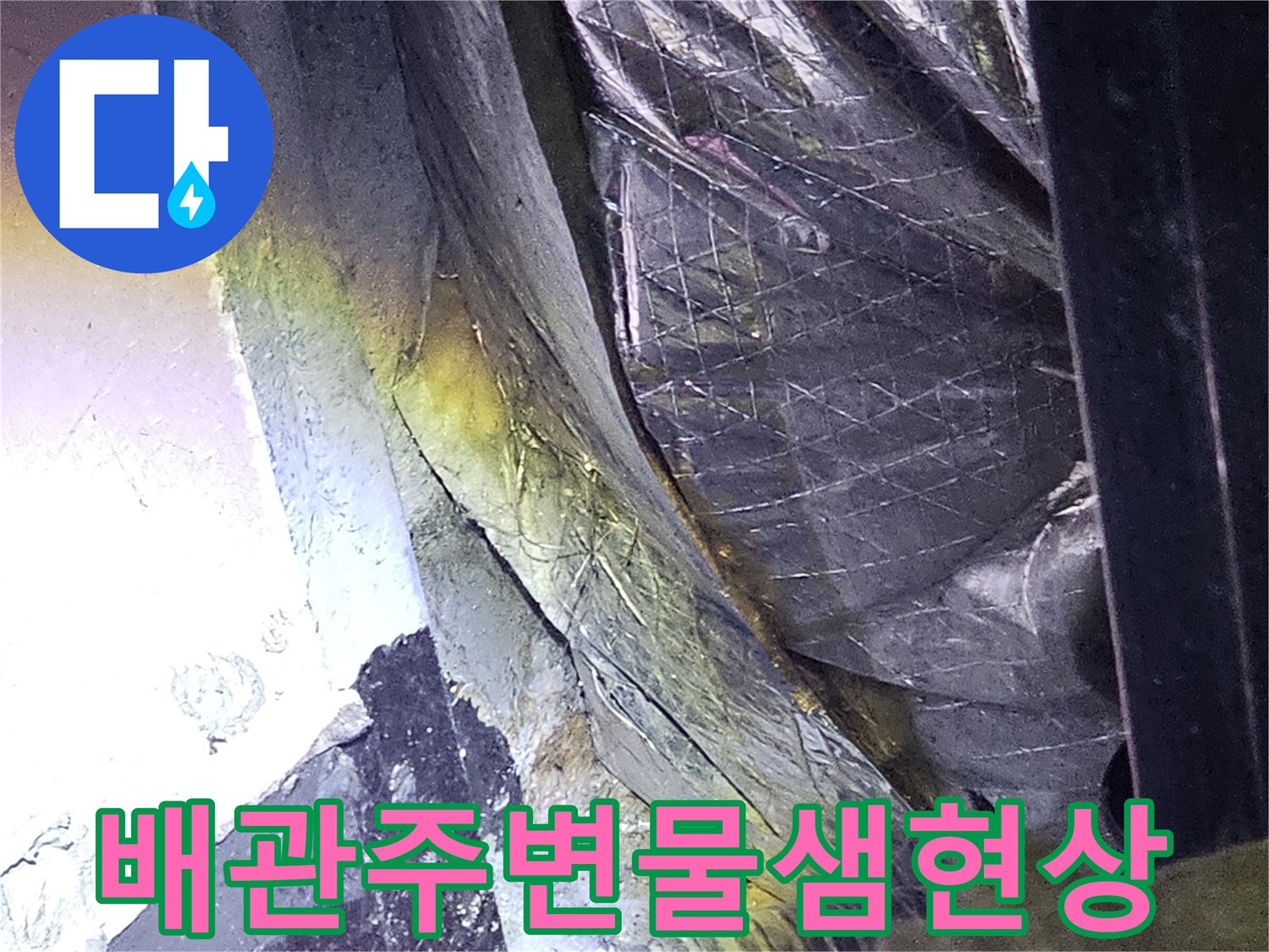 성남-분당-지하-배관-주변-누수-및-습기-상태