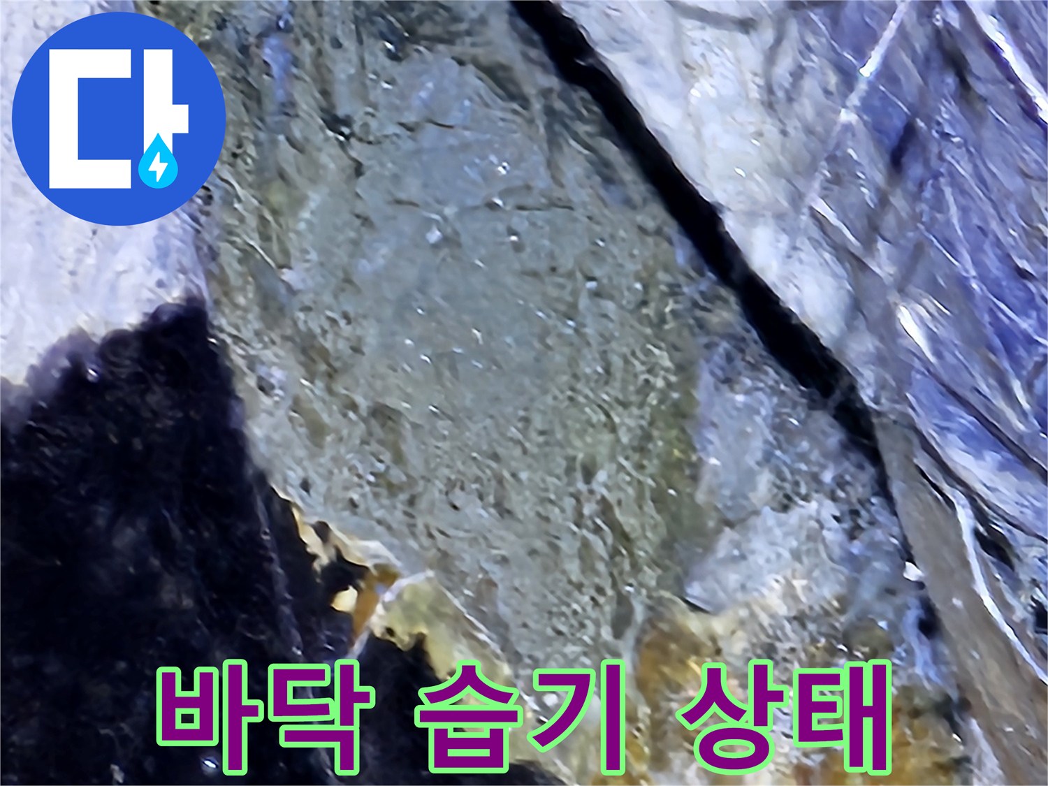 지하-현장-바닥-물고임-및-습기-상태