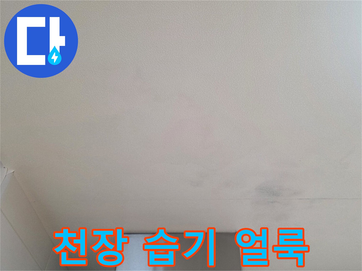물샘 증상으로 인해 변색된 천장 마감재 부위