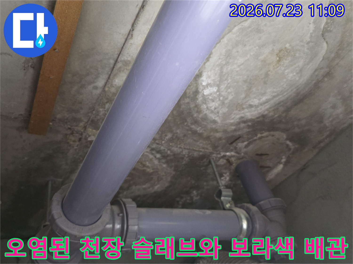 보라색 하수 배관과 물샘으로 인해 누렇게 변색되고 백화가 진행된 천장 모습