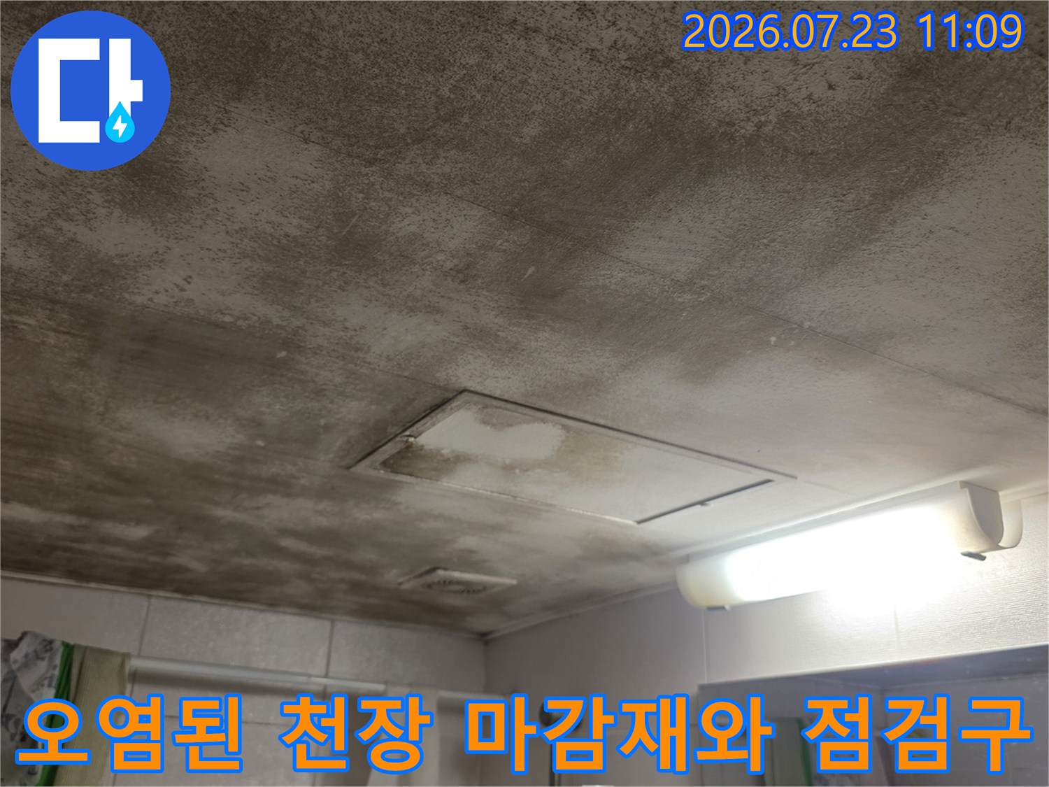 전체적으로 누렇게 변색되고 곰팡이가 발생한 화장실 천장의 모습