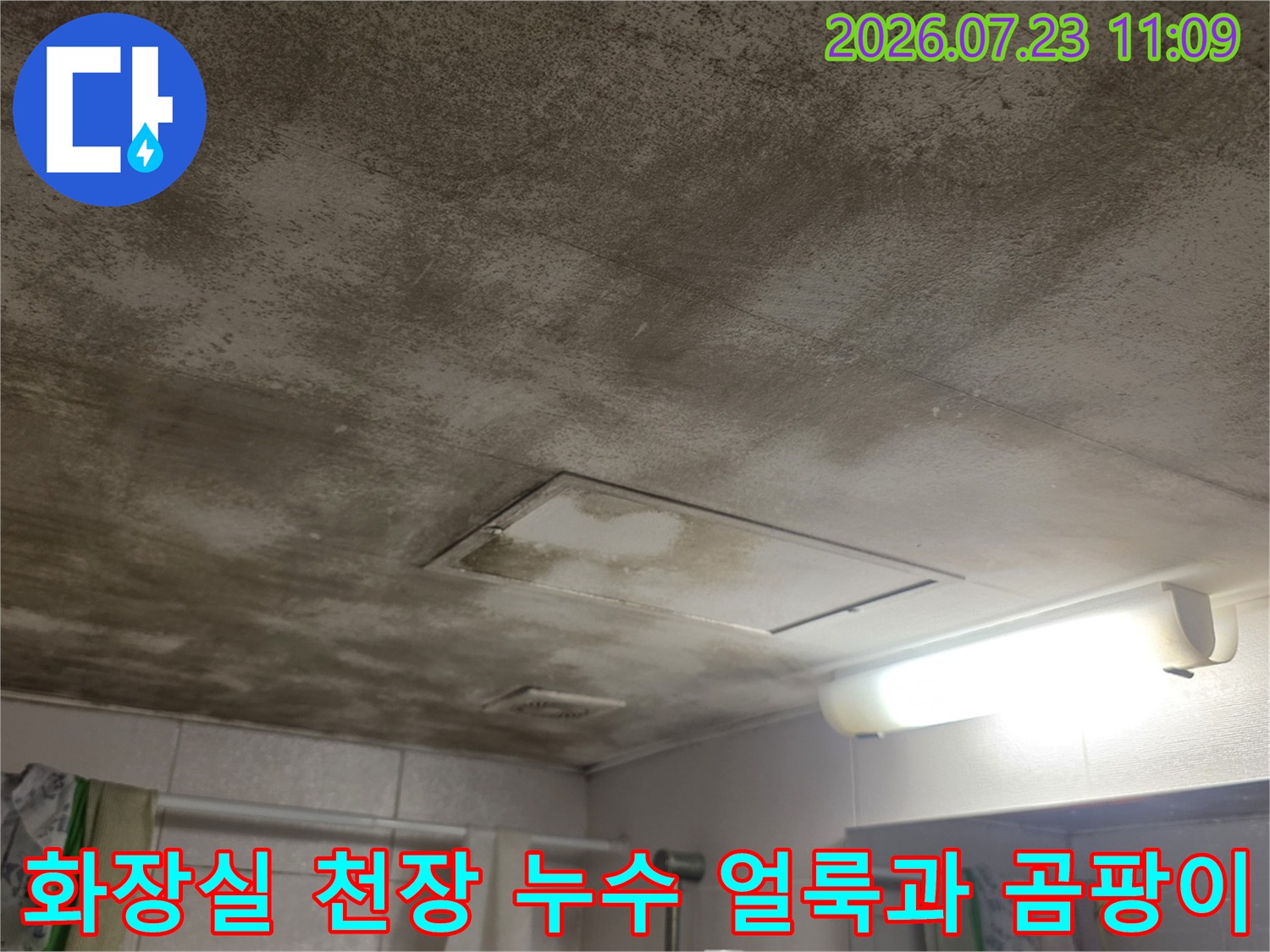 화장실-천장의-전체적인-면적에-누수로-인한-어두운-얼룩과-곰팡이가-퍼져있는-모습