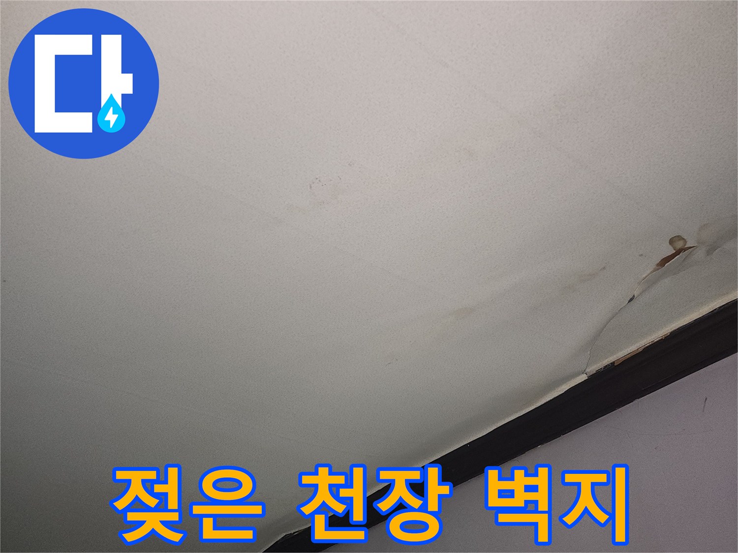 천장-벽지가-물기에-젖어-변색된-모습