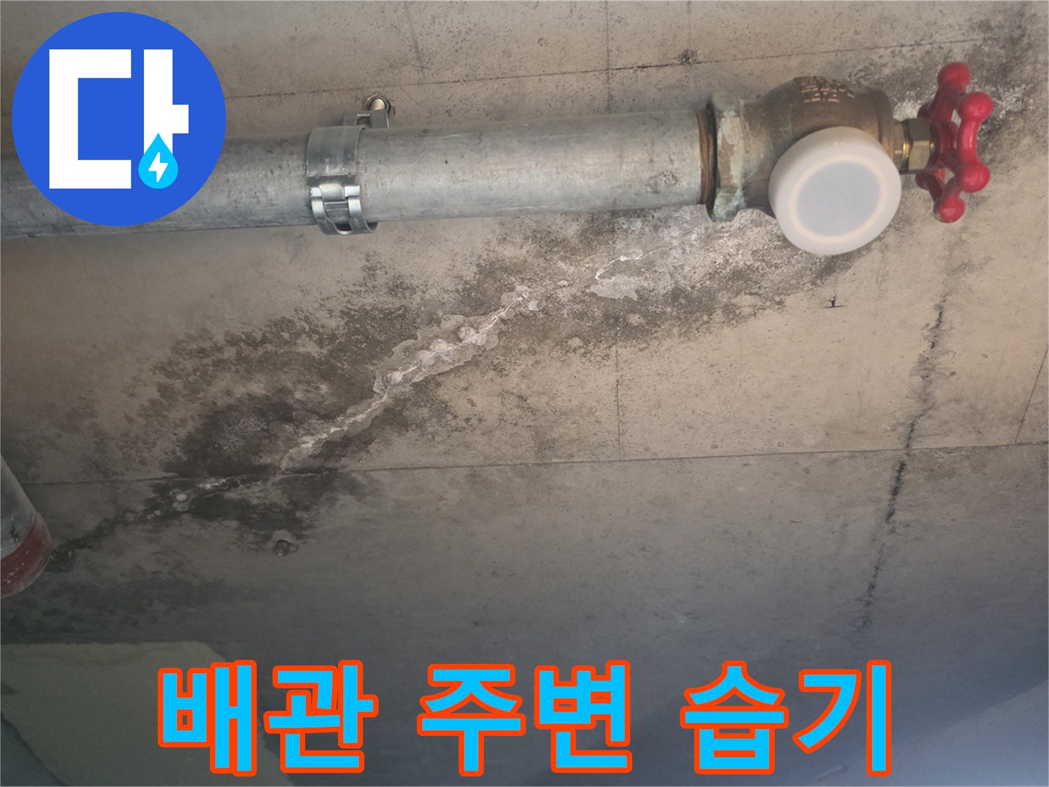배관 연결부 근처의 젖은 콘크리트 벽면