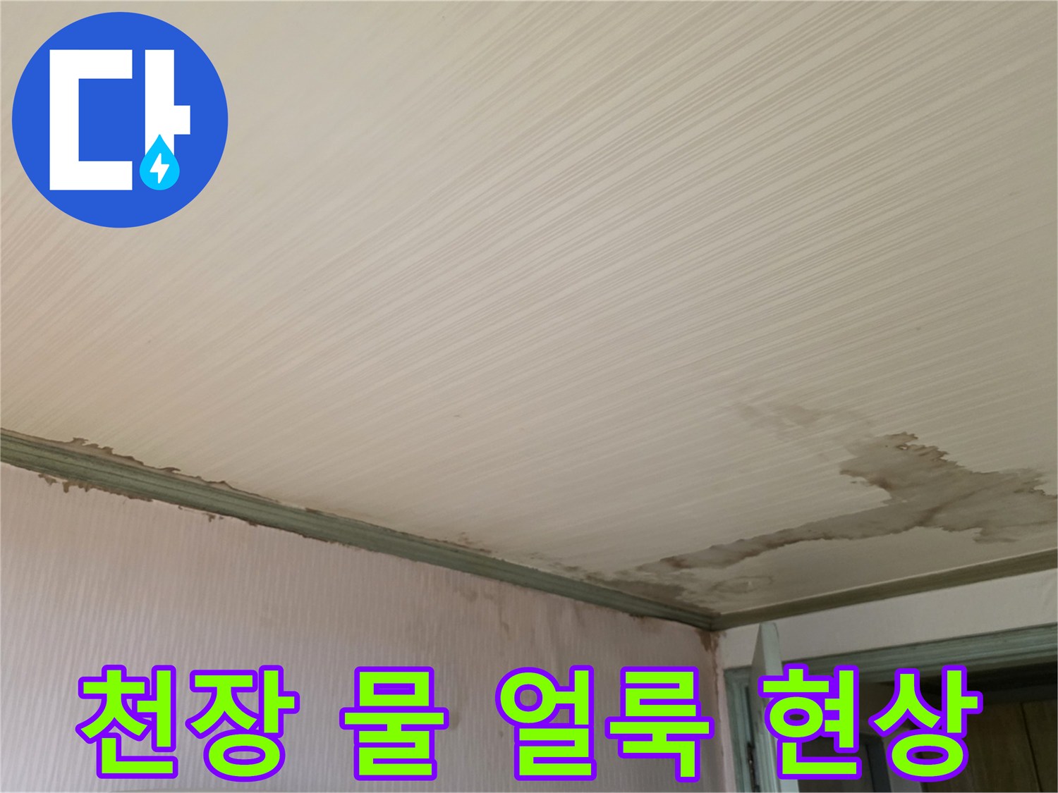 성북구 정릉동 빌라-아래층 천장과 벽면에 발생한 넓은 물 얼룩